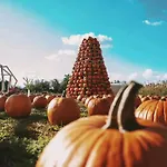 Familly Apartmens Дольни-Дунаёвице