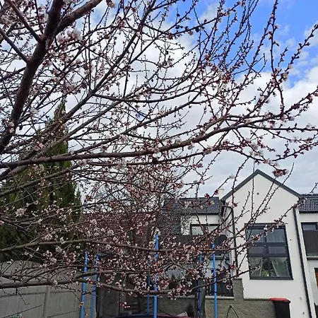 Privat bolig Familly Apartmens