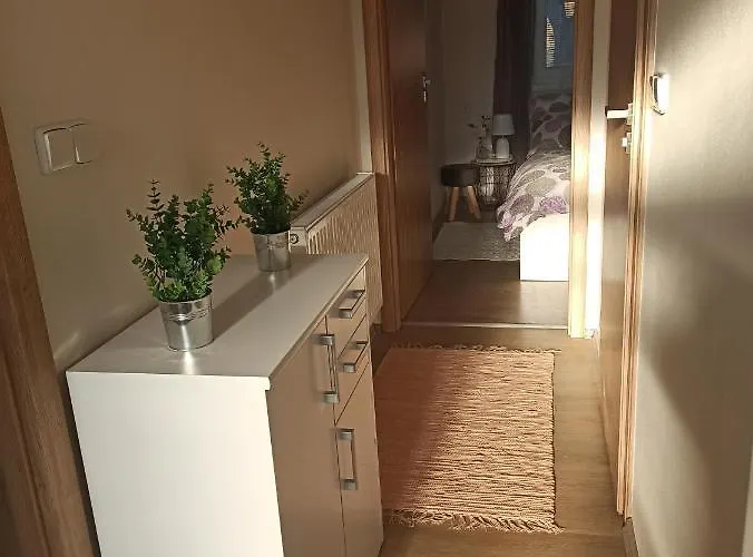 Homestay szállás Familly Apartmens Dolní Dunajovice