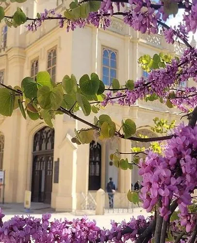Homestay szállás Familly Apartmens *