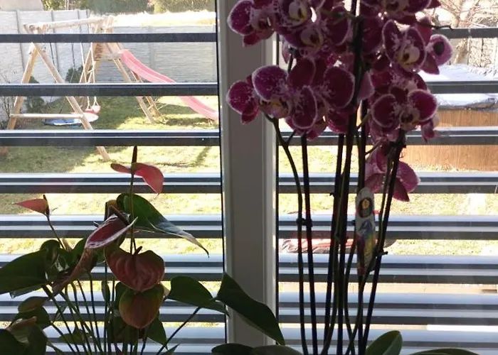 Familly Apartmens Homestay szállás *